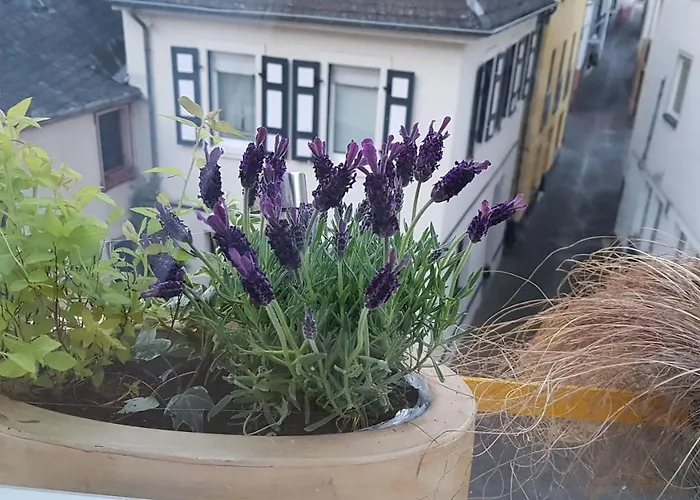Haus Alfina
