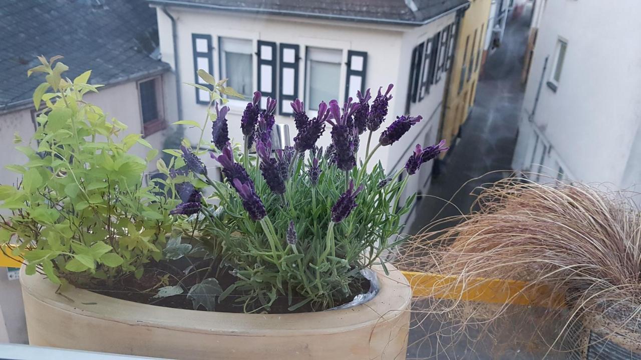 Haus Alfina Villa Alf
